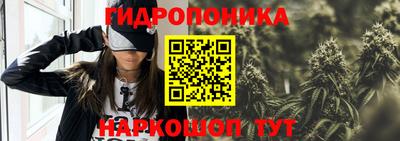 бошки Краснодар