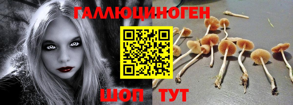 Псилоцибиновые грибы мицелий Коломна